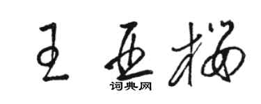 駱恆光王亞櫻草書個性簽名怎么寫