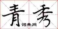 周炳元青秀楷書怎么寫