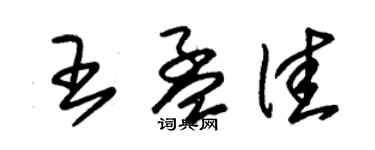 朱錫榮王孟佳草書個性簽名怎么寫