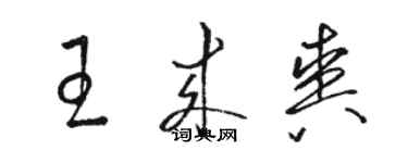 駱恆光王來爽草書個性簽名怎么寫