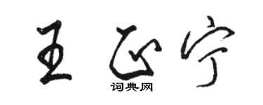 駱恆光王正寧行書個性簽名怎么寫