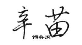 駱恆光辛苗行書個性簽名怎么寫