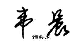 朱錫榮韋晨草書個性簽名怎么寫
