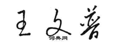 駱恆光王文普草書個性簽名怎么寫