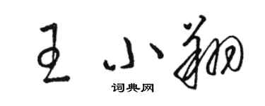 駱恆光王小翔草書個性簽名怎么寫