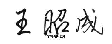 駱恆光王昭成行書個性簽名怎么寫