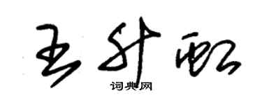 朱錫榮王升虹草書個性簽名怎么寫