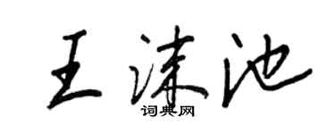 王正良王沫池行書個性簽名怎么寫