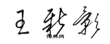 駱恆光王新影草書個性簽名怎么寫