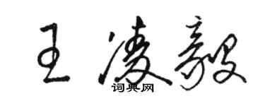 駱恆光王凌毅草書個性簽名怎么寫