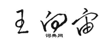 駱恆光王向宙草書個性簽名怎么寫