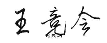 駱恆光王競會行書個性簽名怎么寫