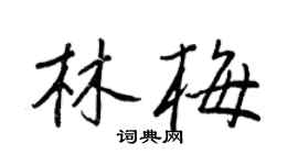 王正良林梅行書個性簽名怎么寫
