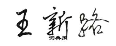 駱恆光王新路行書個性簽名怎么寫