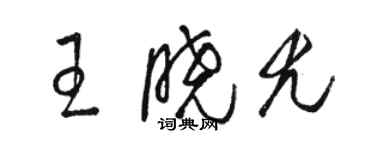 駱恆光王曉尤草書個性簽名怎么寫