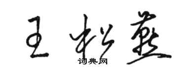 駱恆光王松燕草書個性簽名怎么寫