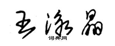 朱錫榮王泳晶草書個性簽名怎么寫