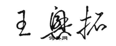 駱恆光王興拓草書個性簽名怎么寫