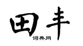 翁闓運田豐楷書個性簽名怎么寫