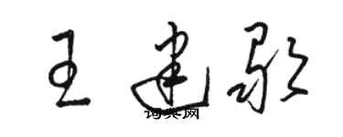 駱恆光王建歌草書個性簽名怎么寫