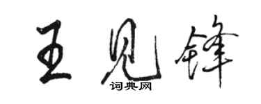 駱恆光王見鋒行書個性簽名怎么寫