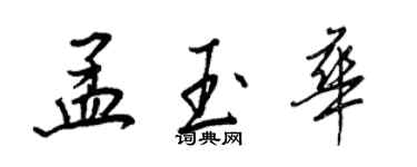 王正良孟玉華行書個性簽名怎么寫