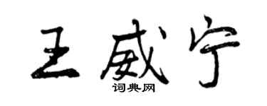 曾慶福王威寧行書個性簽名怎么寫