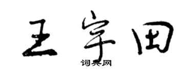 曾慶福王宇田行書個性簽名怎么寫
