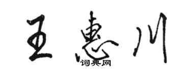 駱恆光王惠川行書個性簽名怎么寫