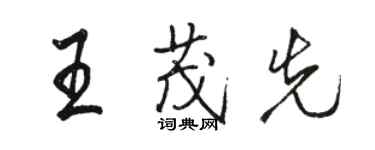 駱恆光王茂先行書個性簽名怎么寫