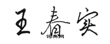 駱恆光王春實行書個性簽名怎么寫