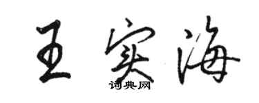 駱恆光王實海行書個性簽名怎么寫