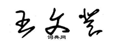 朱錫榮王文登草書個性簽名怎么寫