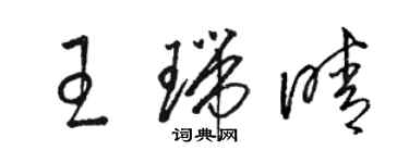 駱恆光王瑞晴草書個性簽名怎么寫