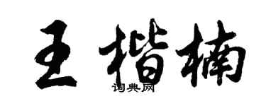 胡問遂王楷楠行書個性簽名怎么寫