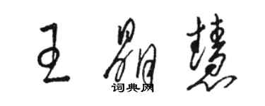 駱恆光王晶慧草書個性簽名怎么寫