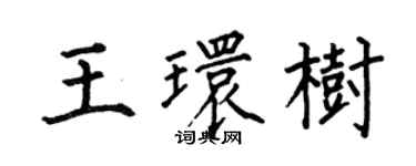 何伯昌王環樹楷書個性簽名怎么寫