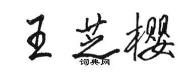 駱恆光王芝櫻行書個性簽名怎么寫