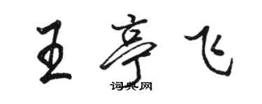 駱恆光王亭飛行書個性簽名怎么寫