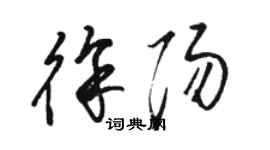 駱恆光徐陽草書個性簽名怎么寫