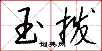 總攝的意思_總攝的解釋_國語詞典