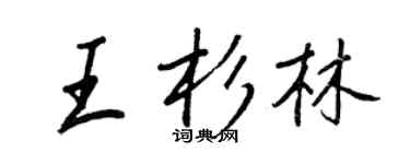 王正良王杉林行書個性簽名怎么寫