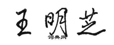 駱恆光王明芝行書個性簽名怎么寫