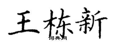 丁謙王棟新楷書個性簽名怎么寫