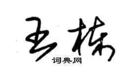 朱錫榮王棟草書個性簽名怎么寫