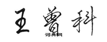 駱恆光王曾科行書個性簽名怎么寫