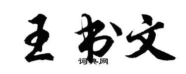 胡問遂王書文行書個性簽名怎么寫