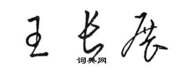 駱恆光王長展草書個性簽名怎么寫
