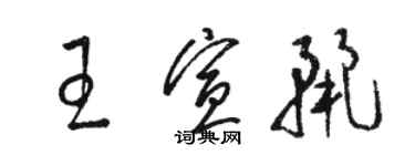 駱恆光王宣麗草書個性簽名怎么寫