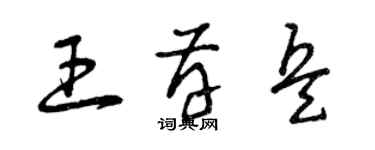 曾慶福王存兵草書個性簽名怎么寫